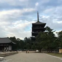 興福寺の写真・動画_image_647471