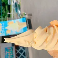 道の駅「不知火」の写真・動画_image_648043