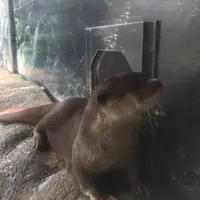 【閉業】京急油壺マリンパークの写真・動画_image_648117