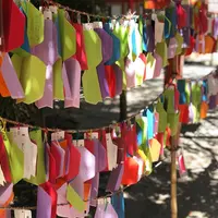 下鴨神社（賀茂御祖神社）の写真・動画_image_650896