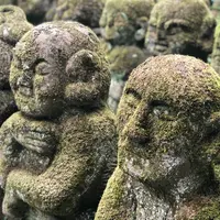 愛宕念仏寺の写真・動画_image_650900