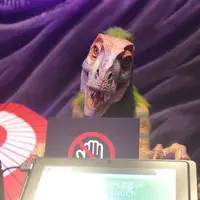 変なホテル 京都 八条口駅前の写真・動画_image_650907