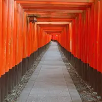 伏見稲荷大社の写真・動画_image_650910