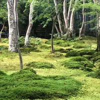 祇王寺の写真・動画_image_650915