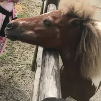 松幸農産これから村の写真・動画_image_651465
