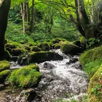 木谷沢渓流の写真・動画_image_651717