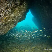 城原海岸の写真・動画_image_651724
