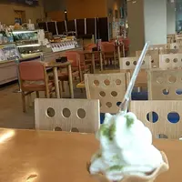 ヴィアッヂオの写真・動画_image_652397