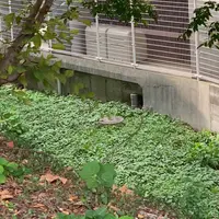 伝・沖田総司終焉の地の写真・動画_image_652901