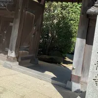 専称寺の写真・動画_image_652913
