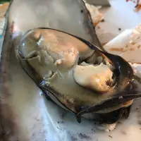（有）丸義商店の写真・動画_image_654396