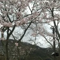 宮リバー度会パークの写真・動画_image_654411