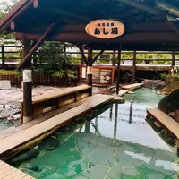 川湯温泉足湯の写真・動画_image_654506