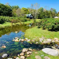 六花の森の写真・動画_image_656494