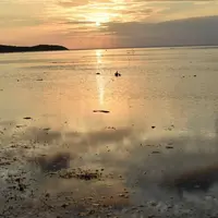 西表島の写真・動画_image_657029