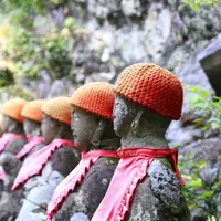 茶湯寺の写真・動画_image_657801