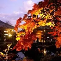 長谷寺の写真・動画_image_658025