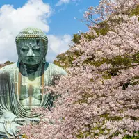 鎌倉大仏（高徳院）の写真・動画_image_658026