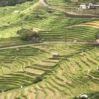 丸山千枚田の写真・動画_image_659550