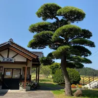 由利高原鉄道の写真・動画_image_659853
