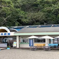 桂浜水族館の写真・動画_image_659903