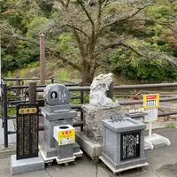 猊鼻渓の写真・動画_image_661782