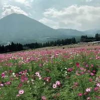 生駒高原の写真・動画_image_662508