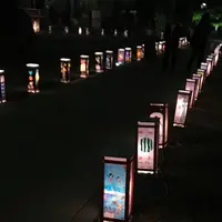 浅草神社（三社さま）の写真・動画_image_666329