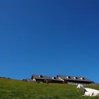 まきば公園の写真・動画_image_667168