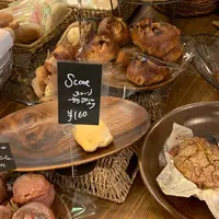 パンドールの写真・動画_image_669528