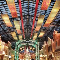 東京ディズニーランドの写真・動画_image_670451