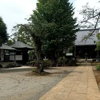 東福寺の写真・動画_image_671917