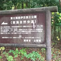 青木ヶ原樹海の写真・動画_image_672095
