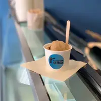 Mount Desert Island Ice Cream Matsumotoの写真・動画_image_672224