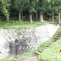 宇津野洞窟の写真・動画_image_673970