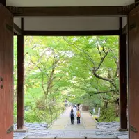 常寂光寺の写真・動画_image_674933