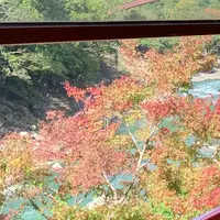 嵯峨野トロッコ列車の写真・動画_image_674940