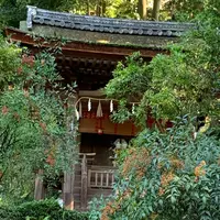 宇治上神社の写真・動画_image_674946
