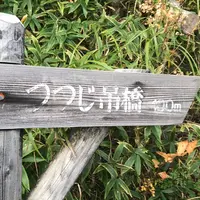 つつじ吊橋の写真・動画_image_675858