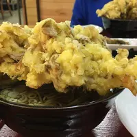 お食事・山野草販売 不動滝の写真・動画_image_679022