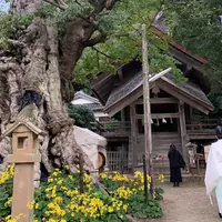 命主社の写真・動画_image_680370