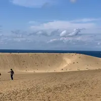 鳥取砂丘の写真・動画_image_681515