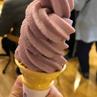 道の駅 藤樹の里あどがわの写真・動画_image_686104