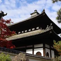 東福寺の写真・動画_image_690156