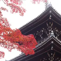 真如堂（真正極楽寺）の写真・動画_image_690158