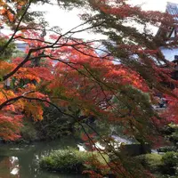 金戒光明寺の写真・動画_image_690160
