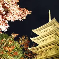 東寺（教王護国寺）の写真・動画_image_690162
