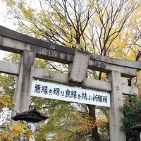 安井金比羅宮の写真・動画_image_690646