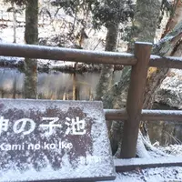 神の子池の写真・動画_image_691216