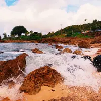 シャークスコーブの写真・動画_image_694889